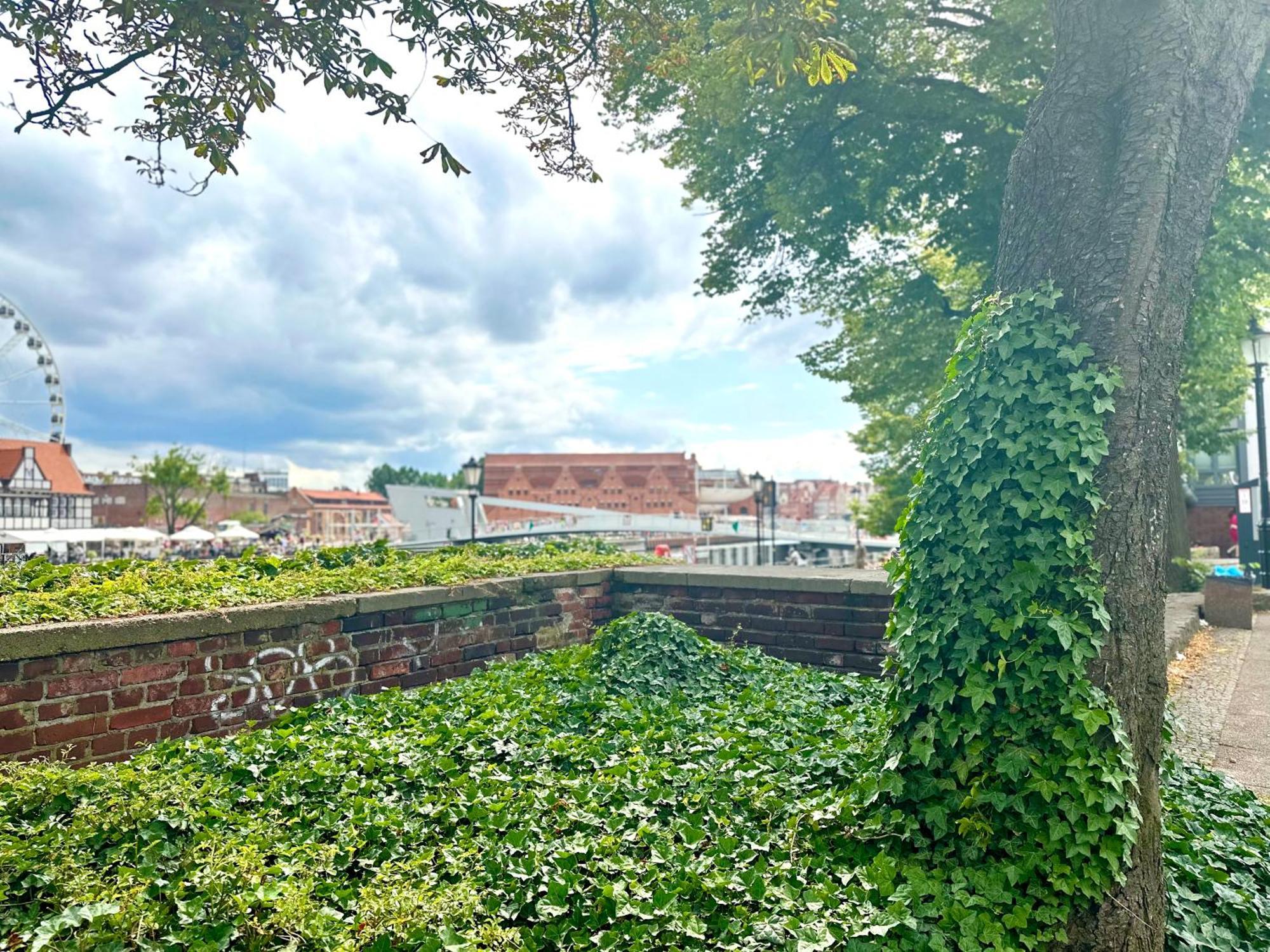 Mmrent Valley Room Gdańsk Eksteriør bilde